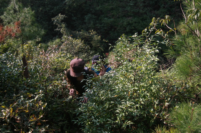 天台驴友俱乐部一周年重走九龙潭