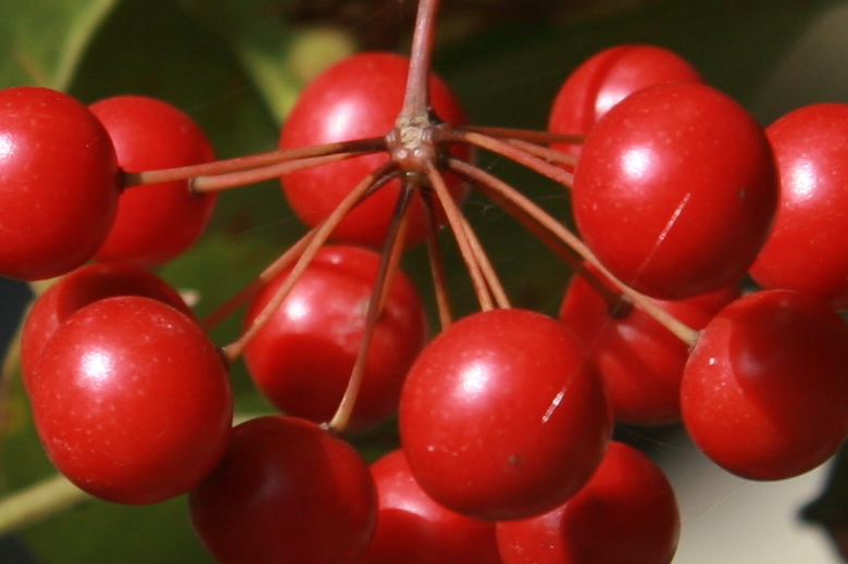 天台驴友俱乐部一周年重走九龙潭