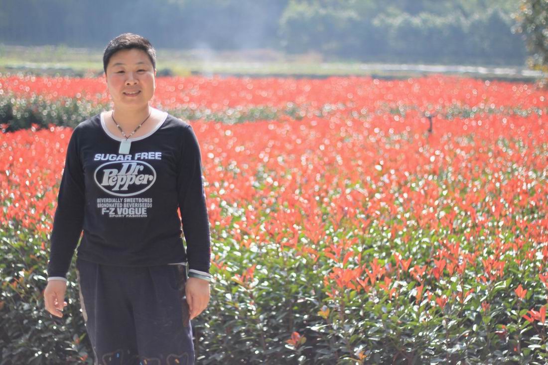 重阳节前奏——寻迹万马渡