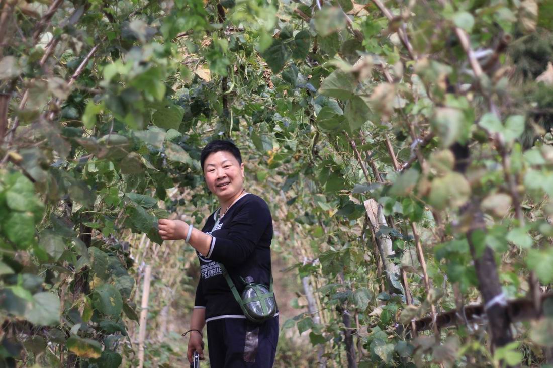 重阳节前奏——寻迹万马渡