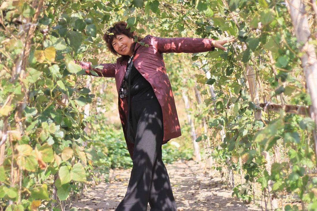 重阳节前奏——寻迹万马渡