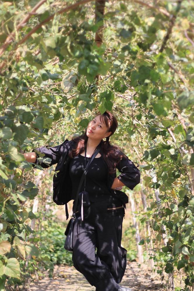 重阳节前奏——寻迹万马渡