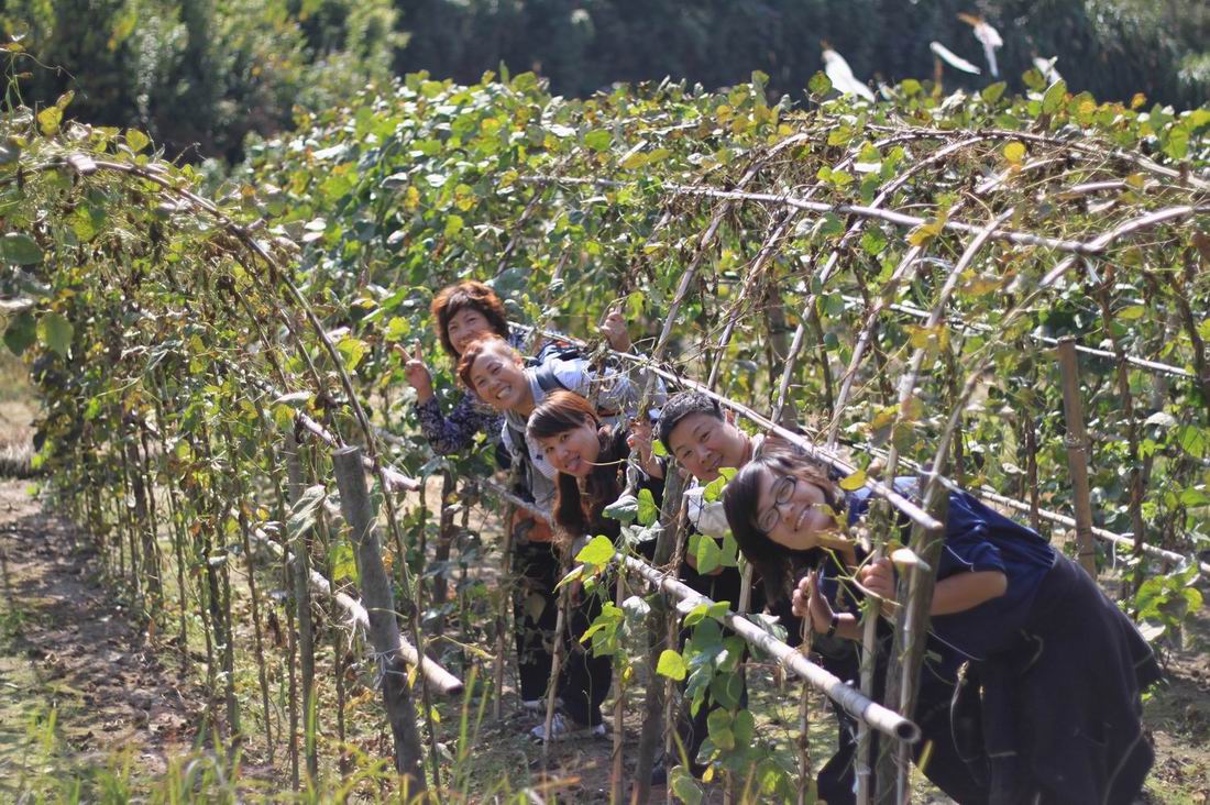 重阳节前奏——寻迹万马渡