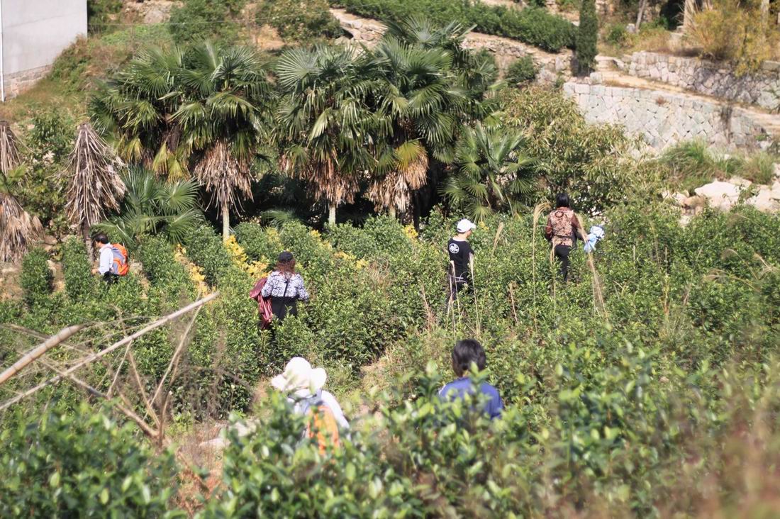 重阳节前奏——寻迹万马渡