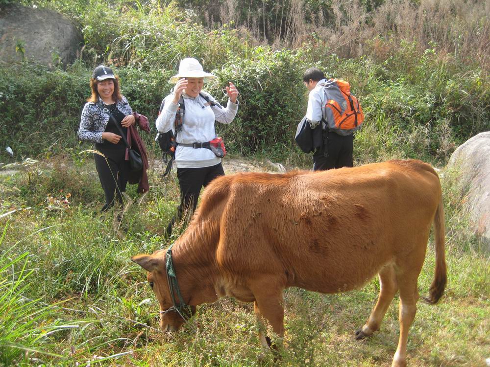 重阳节前奏——寻迹万马渡