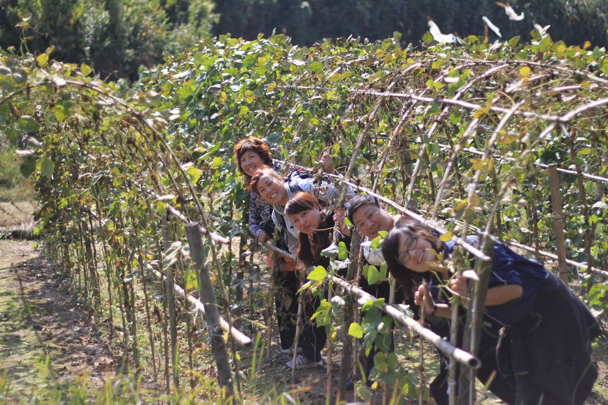 重阳节前奏——寻迹万马渡