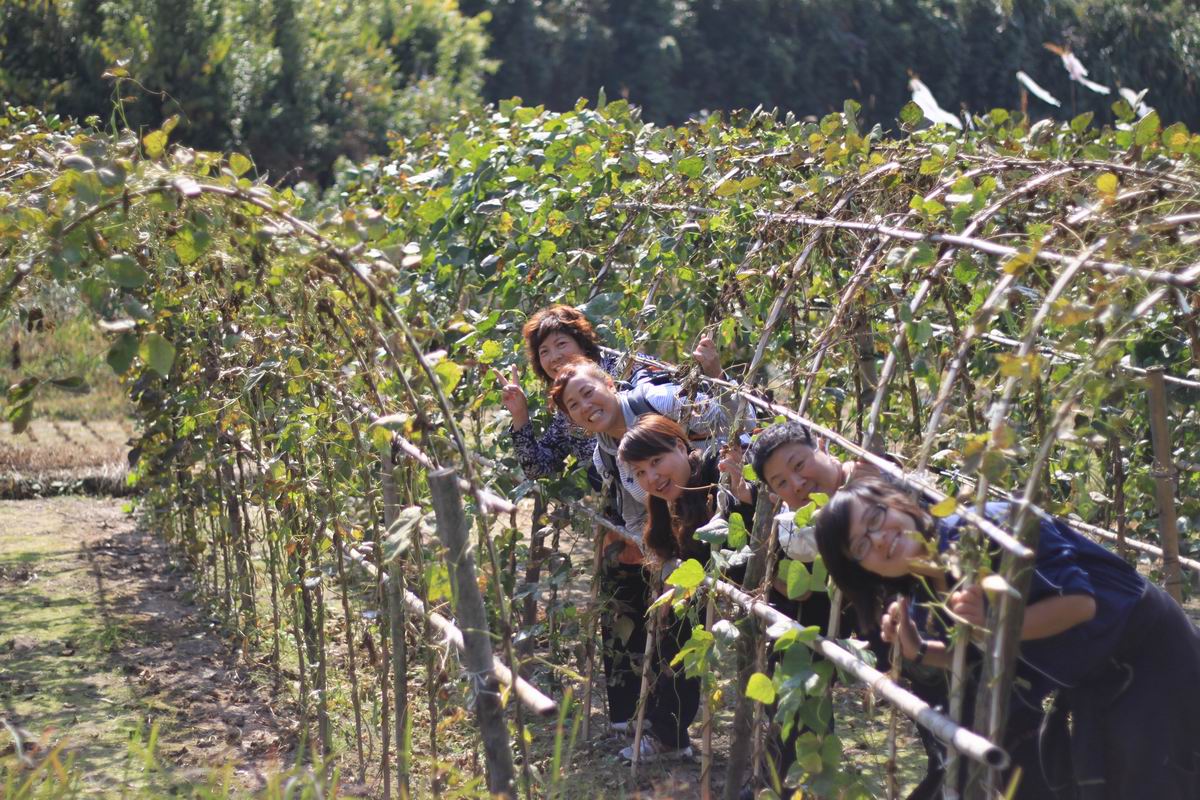 重阳节前奏——寻迹万马渡