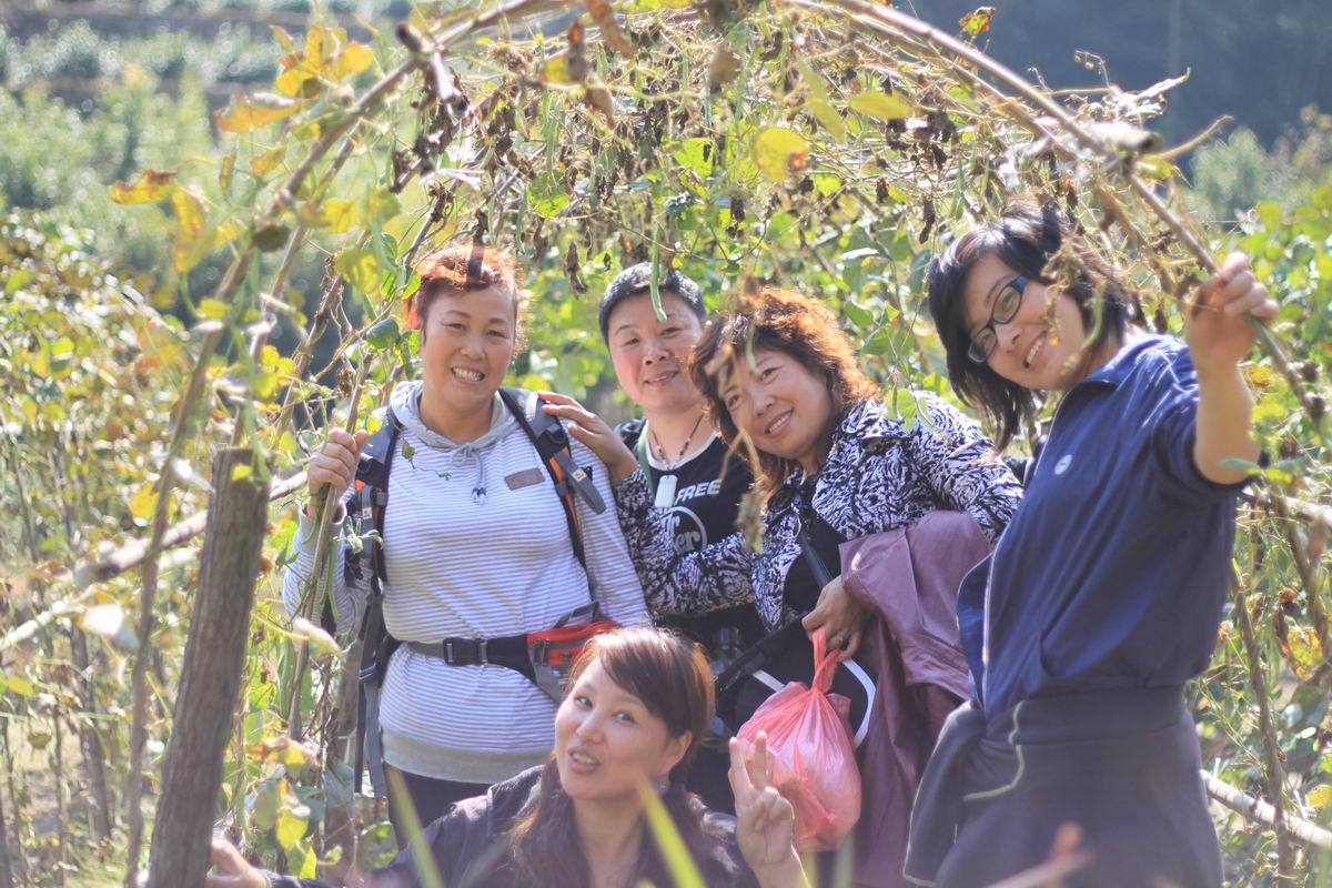 重阳节前奏——寻迹万马渡