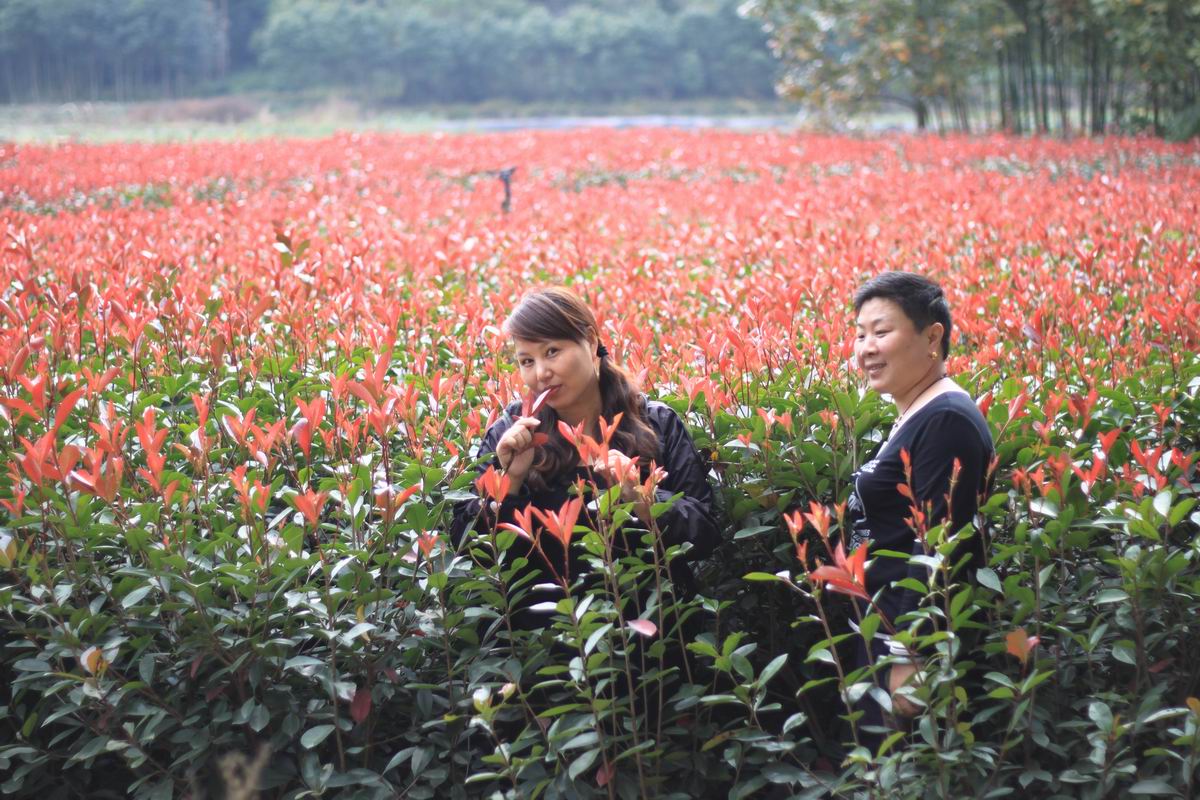 重阳节前奏——寻迹万马渡