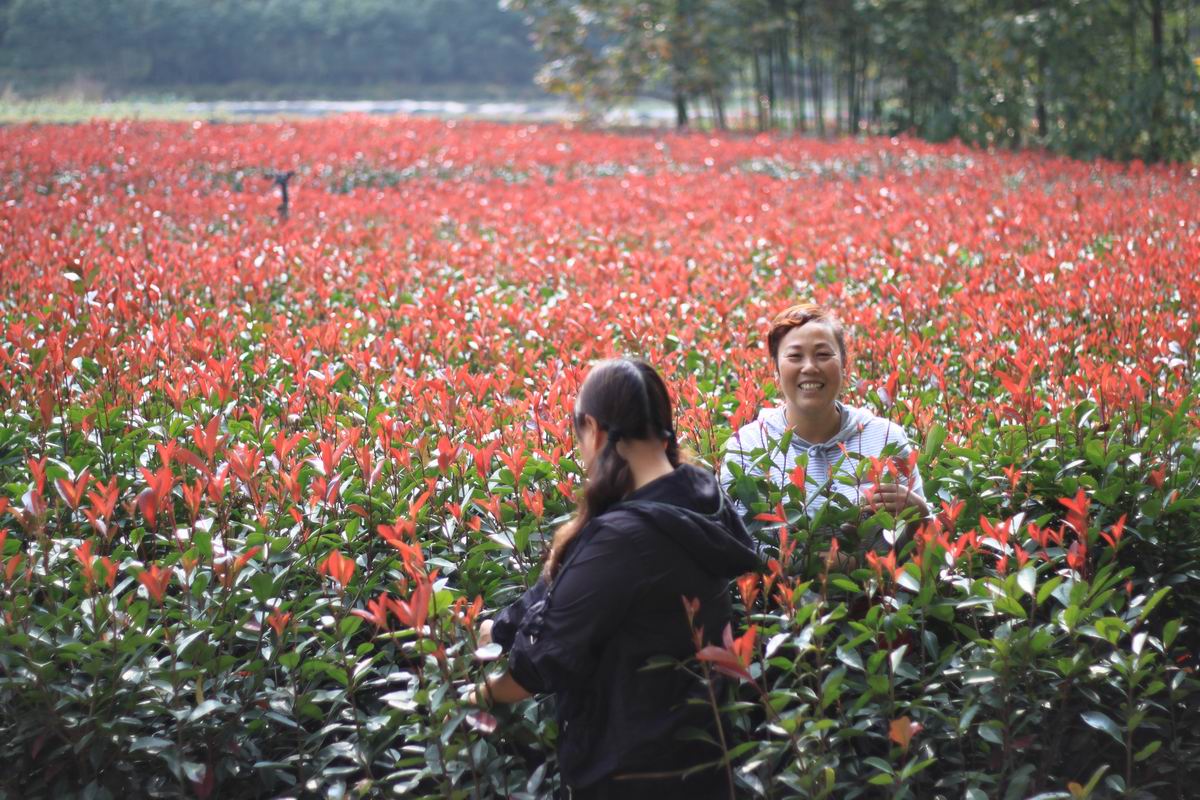 重阳节前奏——寻迹万马渡