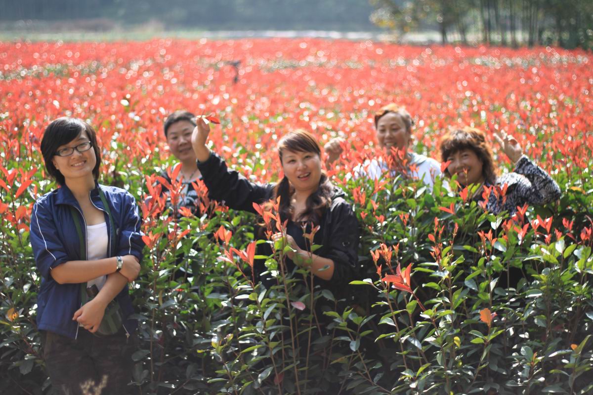 重阳节前奏——寻迹万马渡