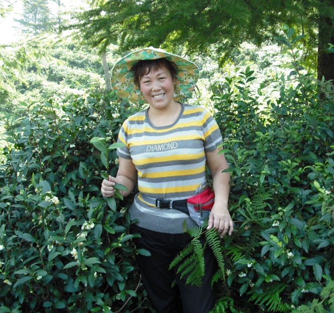 天台驴友俱乐部一周年重走九龙潭