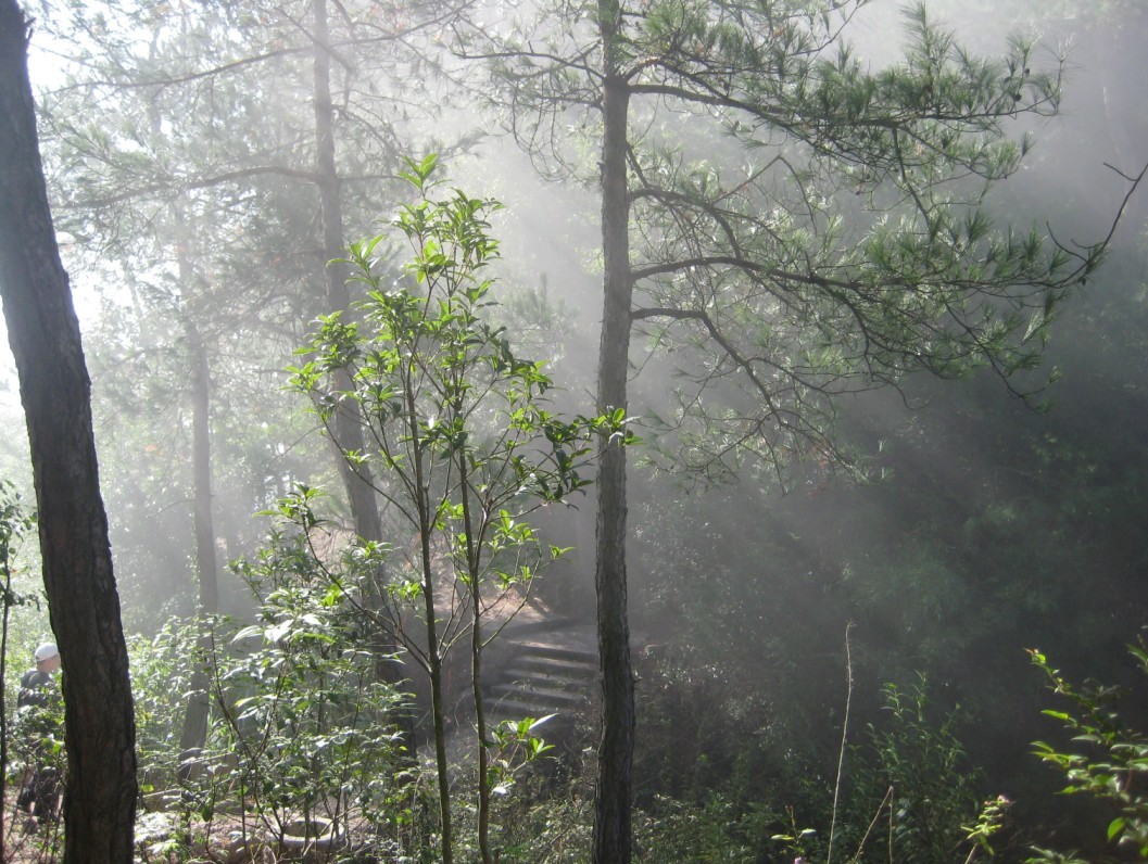 [天台驴友俱乐部]活动之——驴走三州