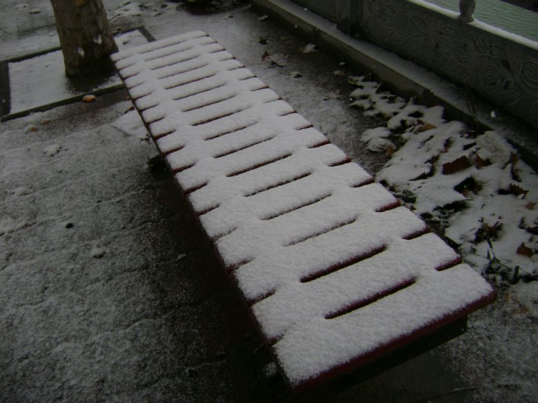 北方的雪景