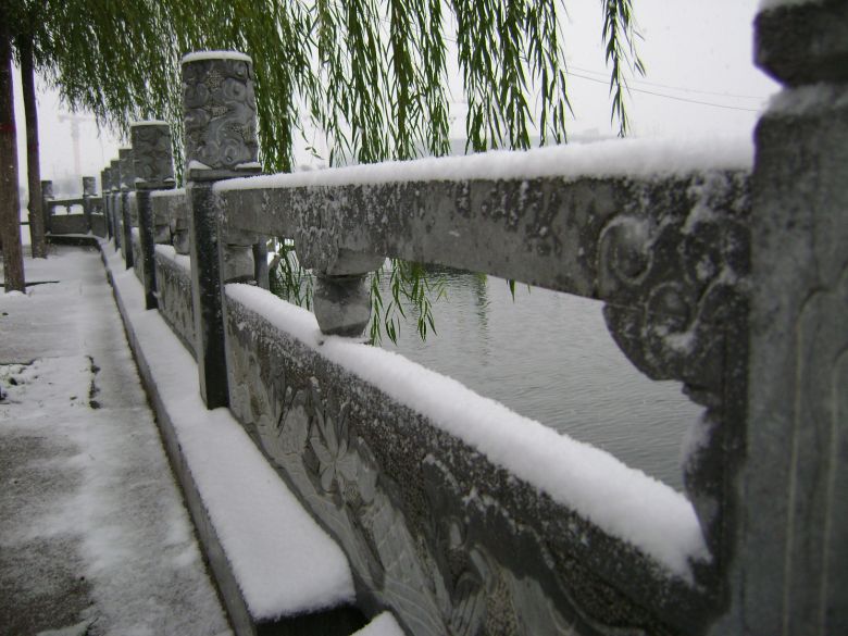 北方的雪景