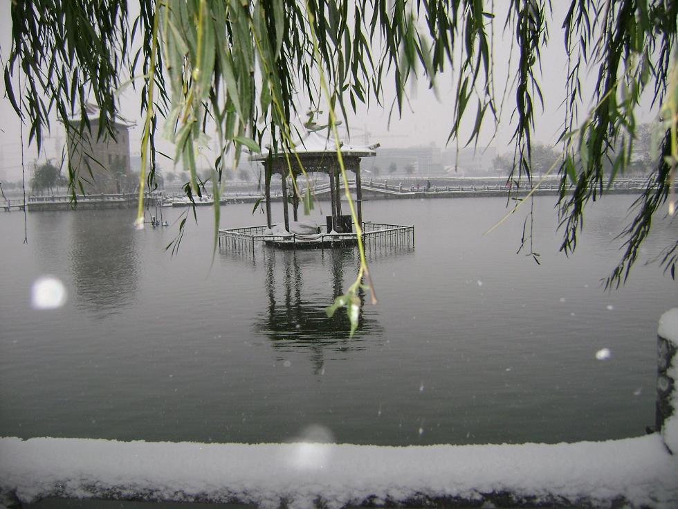 北方的雪景