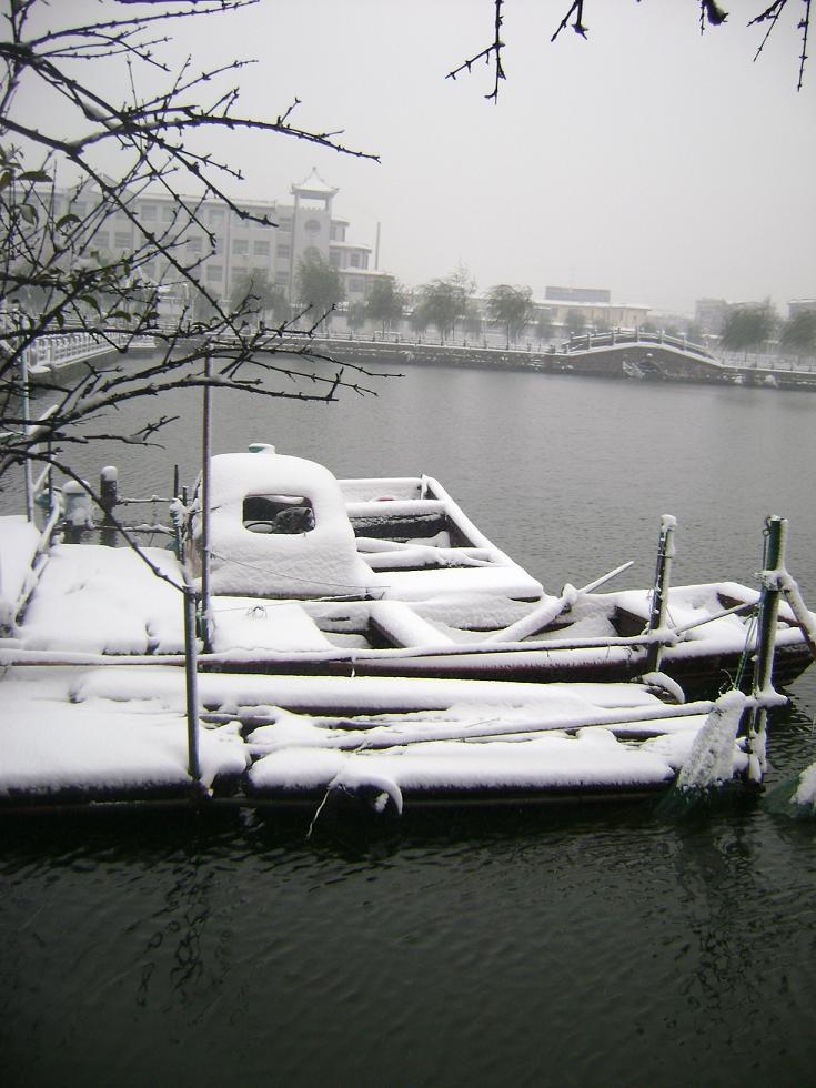 北方的雪景