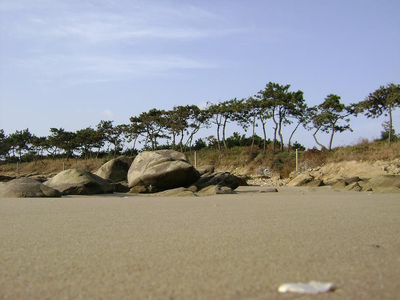 [原创]海边秋景