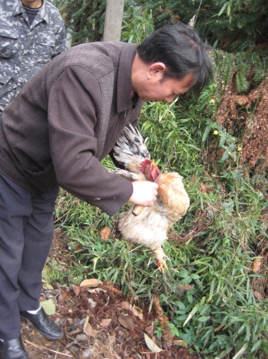 天台驴友俱乐部之-----探秘十门坑