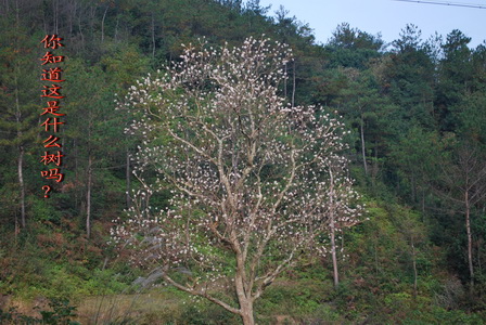 天台驴友俱乐部之-----探秘十门坑