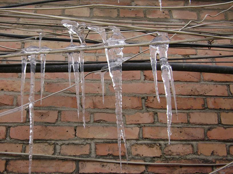 屋檐下的“赤裸裸”