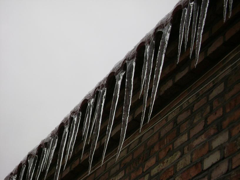 屋檐下的“赤裸裸”