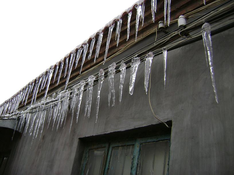 屋檐下的“赤裸裸”