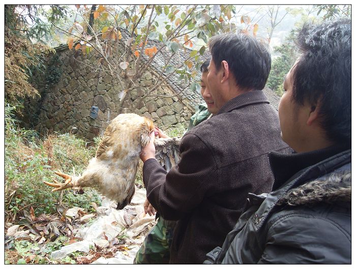 天台驴友俱乐部之-----探秘十门坑