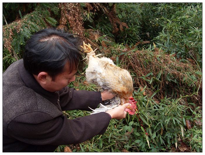 天台驴友俱乐部之-----探秘十门坑