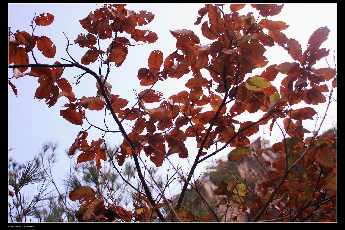 20091114天台北山十门坑驴行一组16P