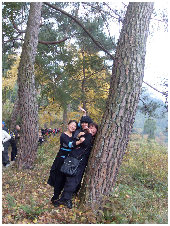 天台驴友俱乐部之---片片枫叶情