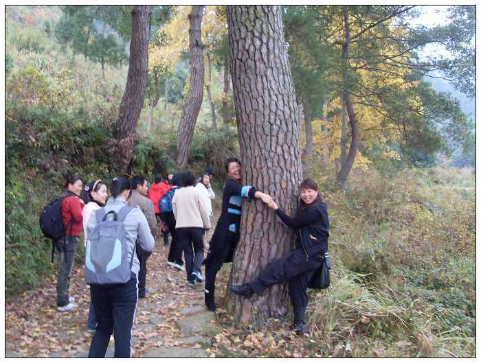 天台驴友俱乐部之---片片枫叶情