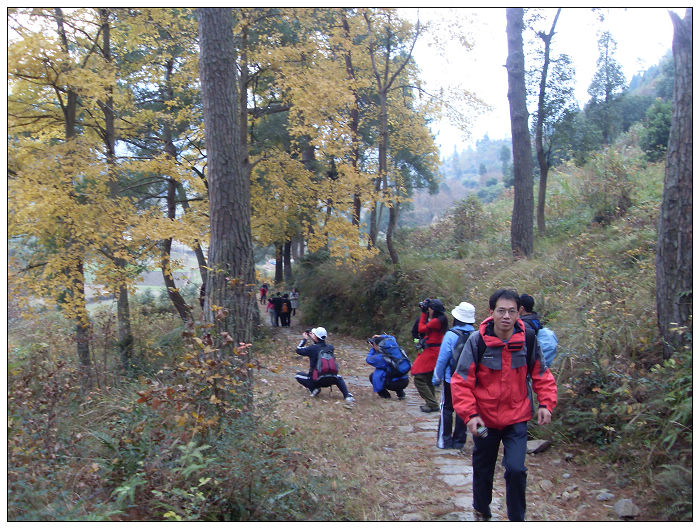 天台驴友俱乐部之---片片枫叶情