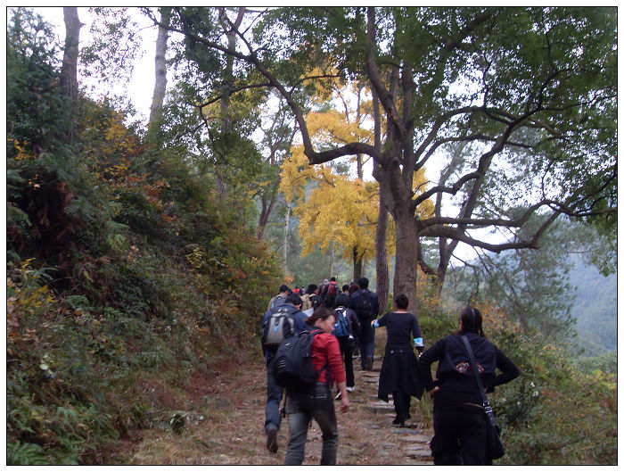 天台驴友俱乐部之---片片枫叶情