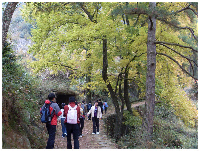 天台驴友俱乐部之---片片枫叶情