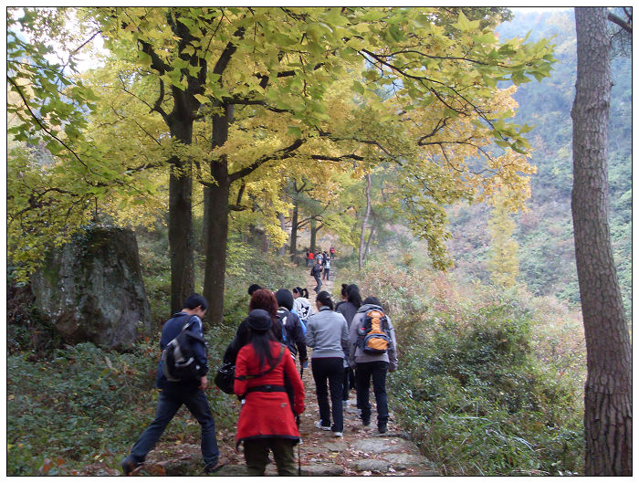 天台驴友俱乐部之---片片枫叶情