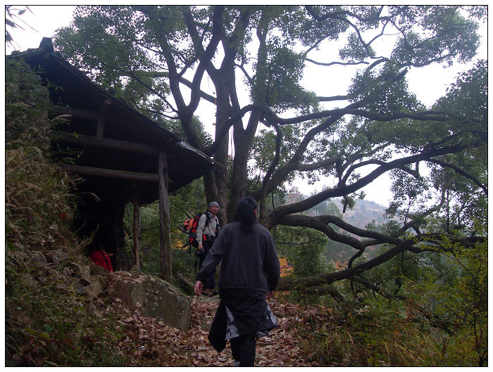 天台驴友俱乐部之---片片枫叶情