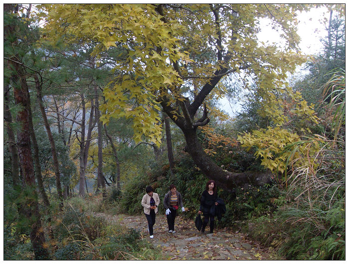 天台驴友俱乐部之---片片枫叶情