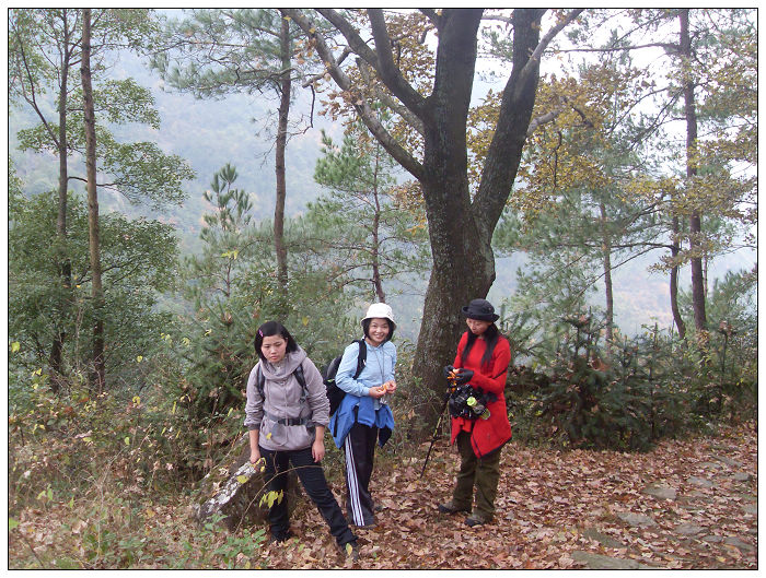天台驴友俱乐部之---片片枫叶情