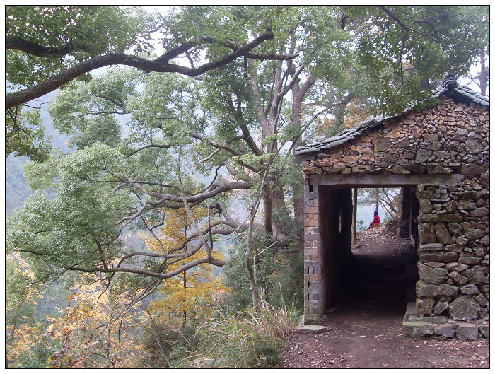 天台驴友俱乐部之---片片枫叶情