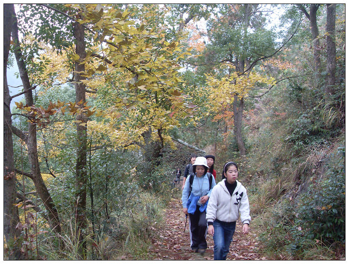 天台驴友俱乐部之---片片枫叶情
