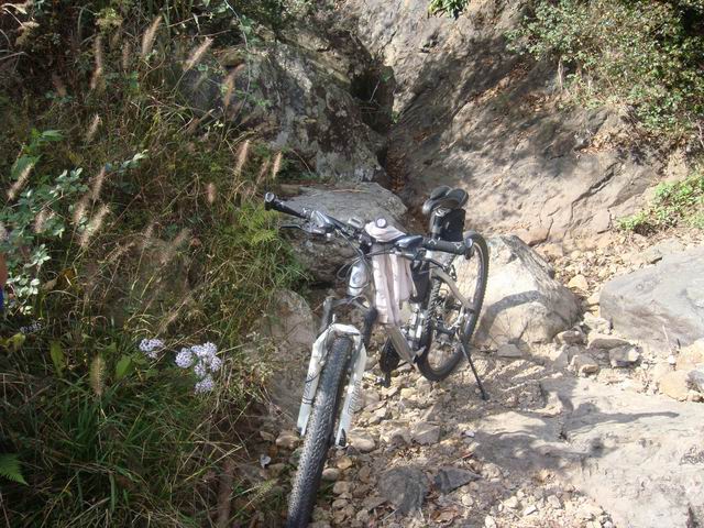 10.31龙溪岩坦至仙居里岙山地骑行pp