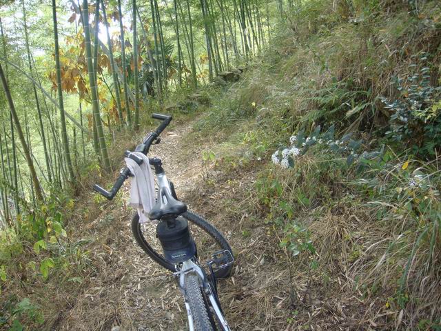 10.31龙溪岩坦至仙居里岙山地骑行pp
