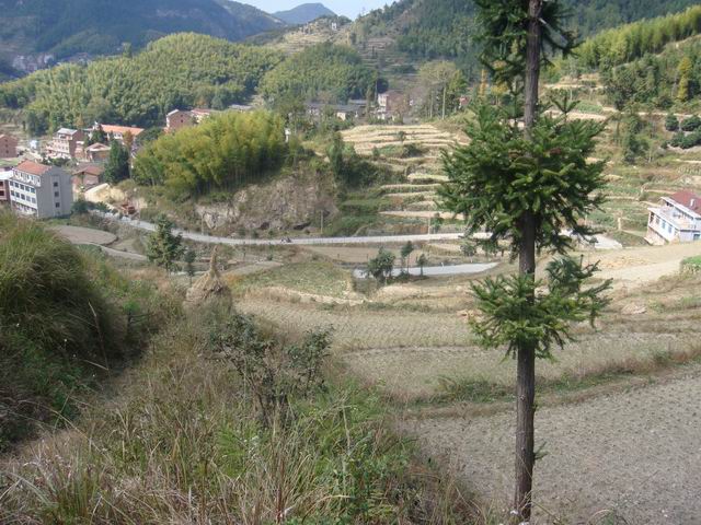 10.31龙溪岩坦至仙居里岙山地骑行pp