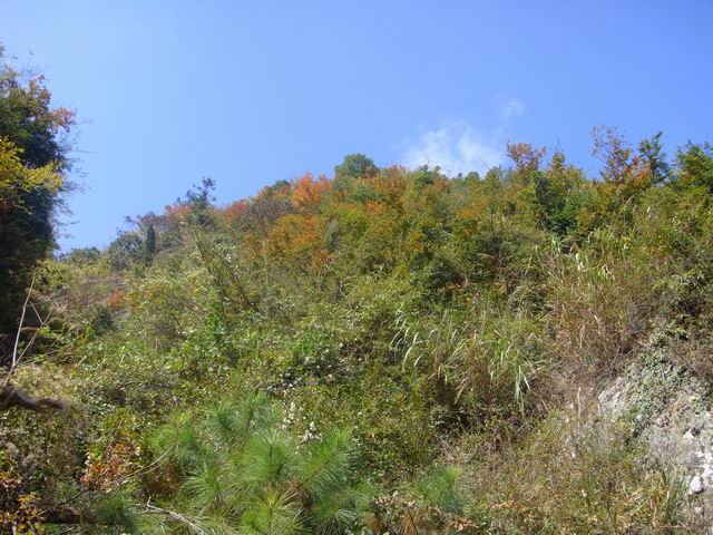 10.31龙溪岩坦至仙居里岙山地骑行pp