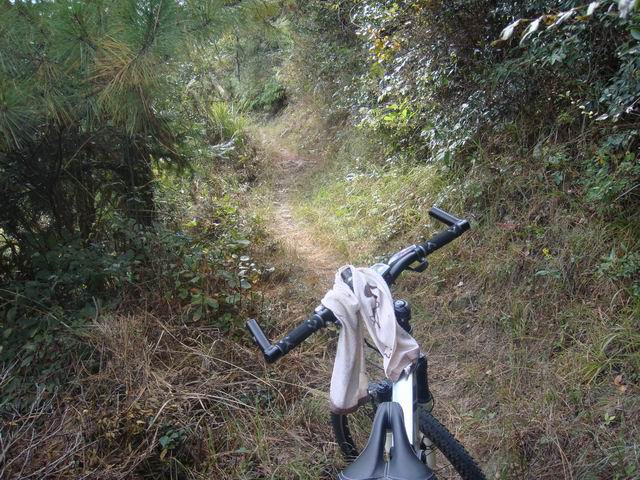 10.31龙溪岩坦至仙居里岙山地骑行pp