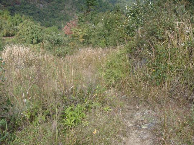 10.31龙溪岩坦至仙居里岙山地骑行pp