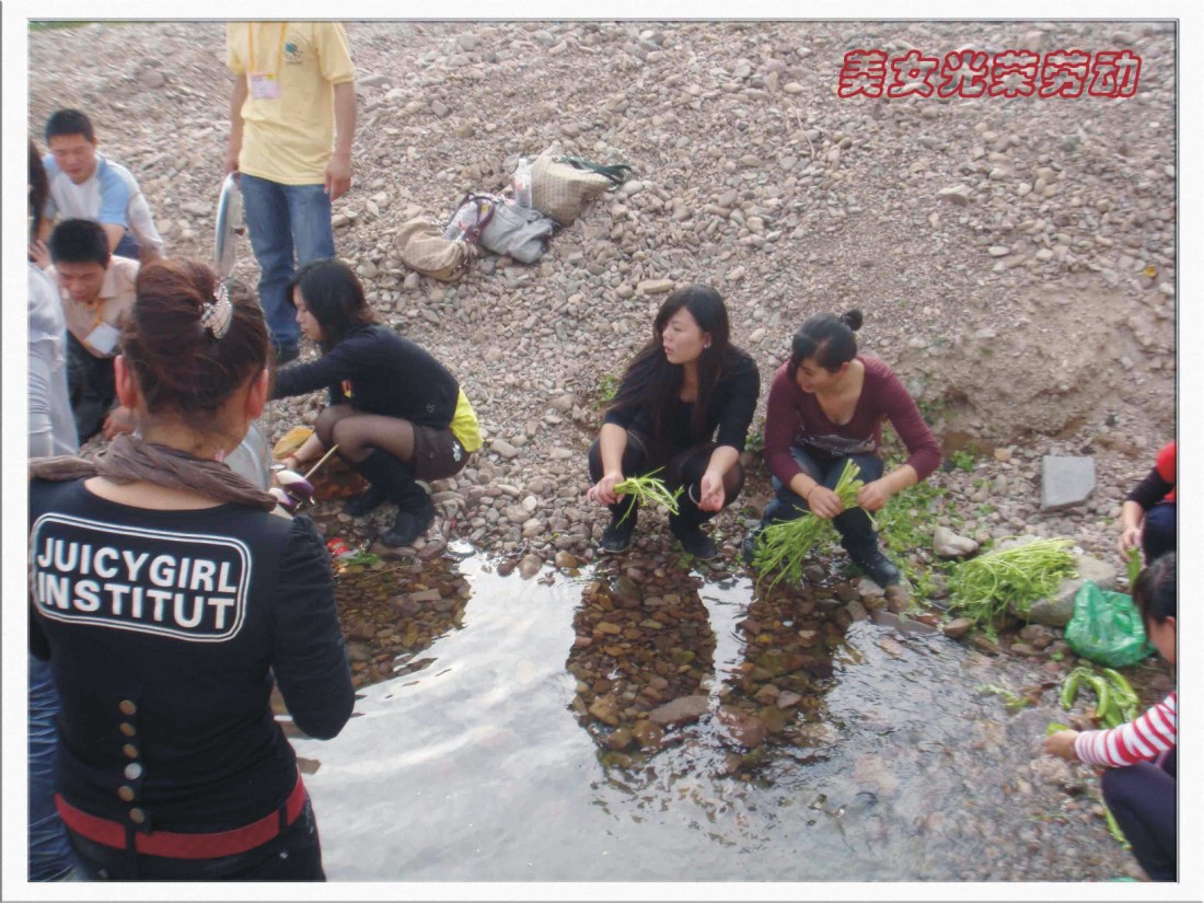 大型烧烤——野餐活动北极组PP