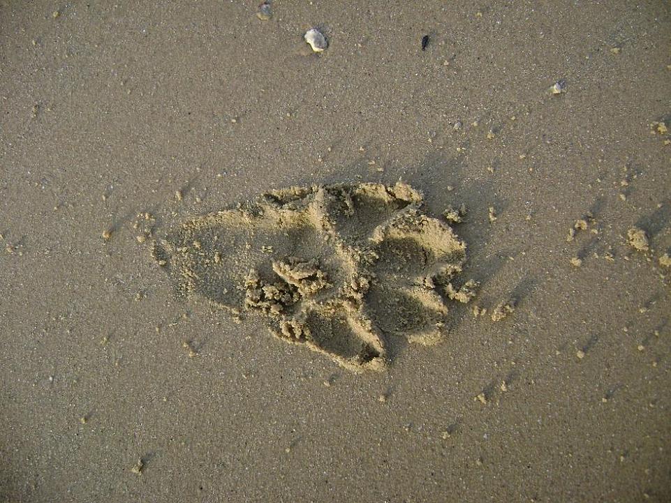 [原创]FB——边行边摄“蓝天、碧海、金沙滩”之——日照归来！