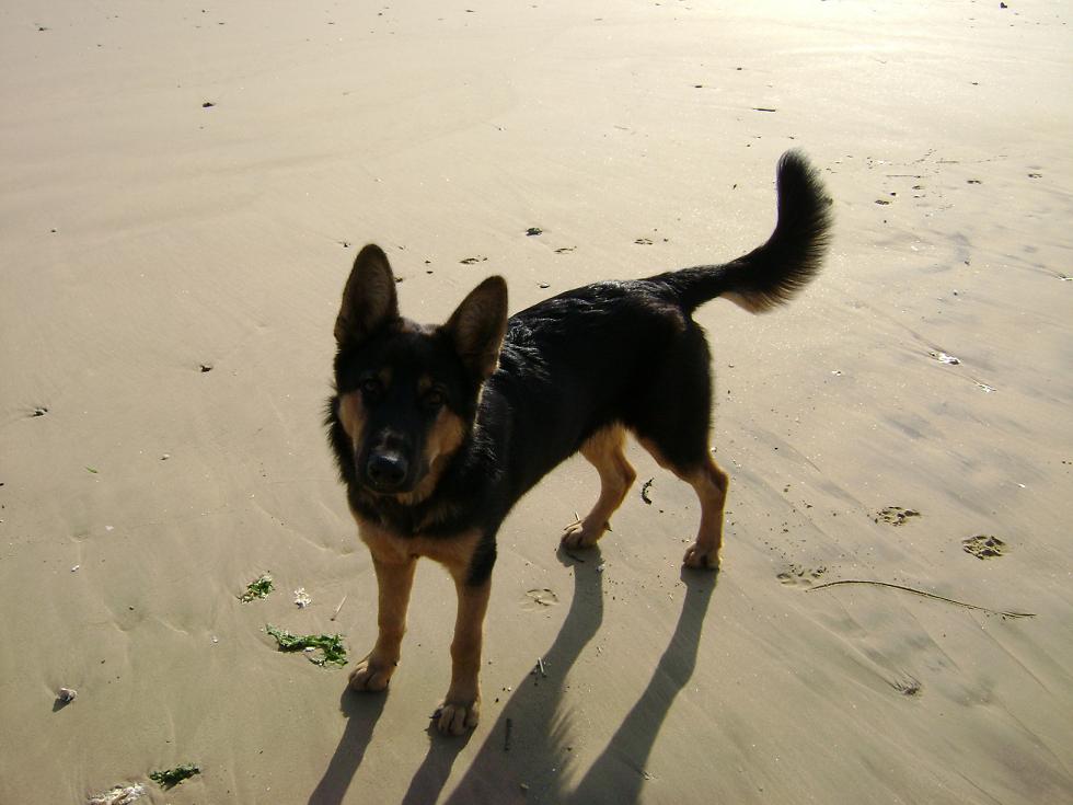 [原创]FB——边行边摄“蓝天、碧海、金沙滩”之——日照归来！